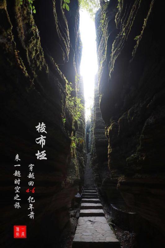 全民剧本大师内置菜单